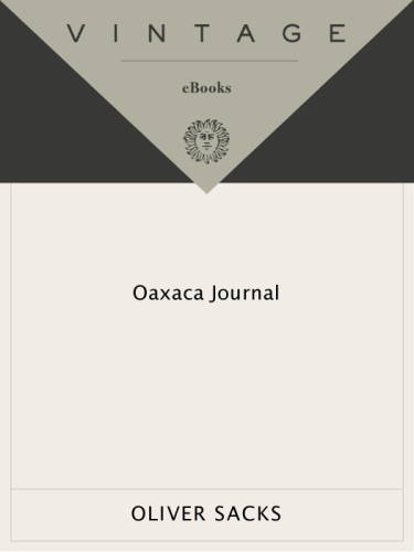 Oaxaca Journal