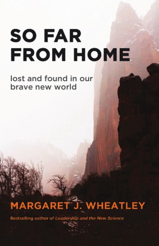 So far from home: lost and found in our brave new world