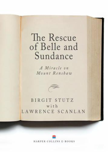 The rescue of belle and sundance: a miracle on mount renshaw