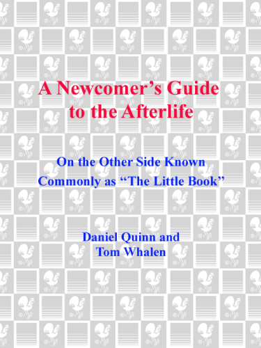 A newcomer's guide to the afterlife: on the other side known commonly as ''The little book''