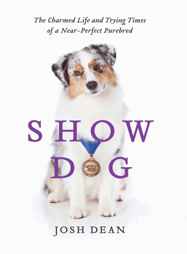 Show dog: the pampered life and trying times of a near-perfect purebred