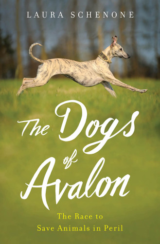 The dogs of avalon: the race to save animals in peril