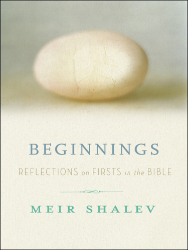 Beginnings: reflections on the Bible's intriguing firsts