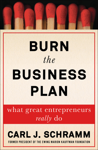 Burn the business plan what great entrepreneurs really do