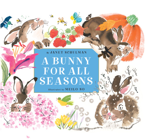 A Bunny for All Seasons