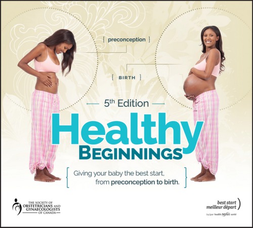 Healthy beginnings: giving your baby the best start, from preconception to birth