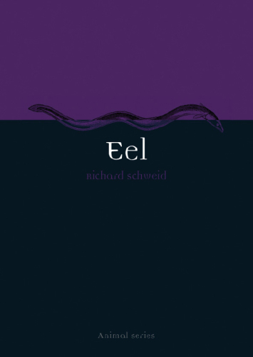 Eel