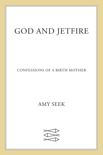 God and Jetfire: confessions of a birth mother