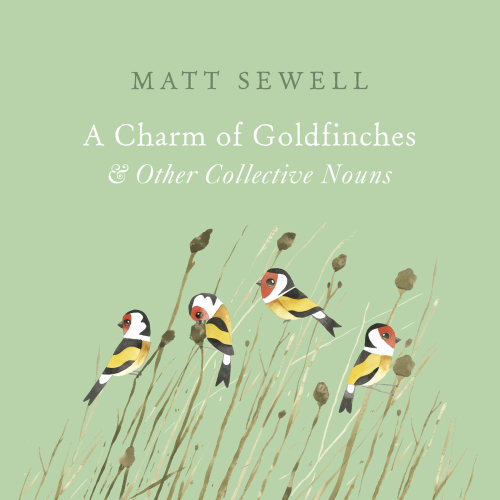A charm of goldfinches & other collective nouns