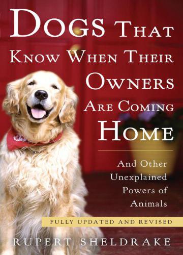 Dogs that know when their owners are coming home: and other unexplained powers of animals