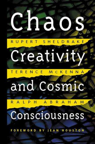 Chaos, creativity, and cosmic consciousness