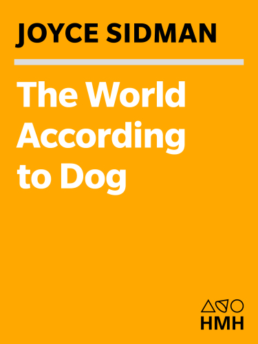 The world according to dog: poems and teen voices