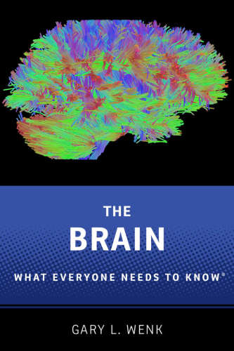 The brain: what everyone needs to know