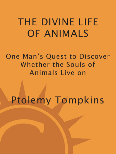 The Divine Life of Animals: One Mans Quest to Discover Whether the Souls of Animals Live on