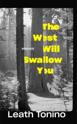 The West will swallow you: essays