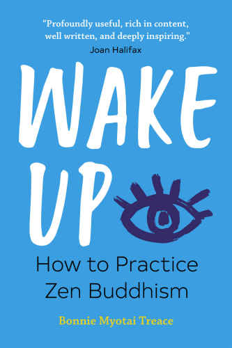 Wake up: how to practice Zen Buddhism