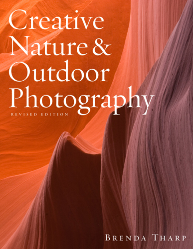 Creative Natureand Outdoor Photography