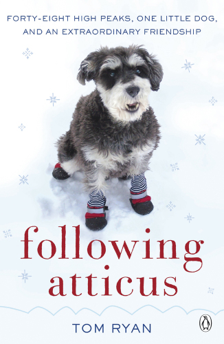 Following Atticus: how a little dog led one man on a journey of rediscovery to the top of the world