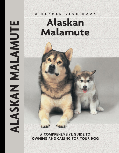 Alaskan Malamute
