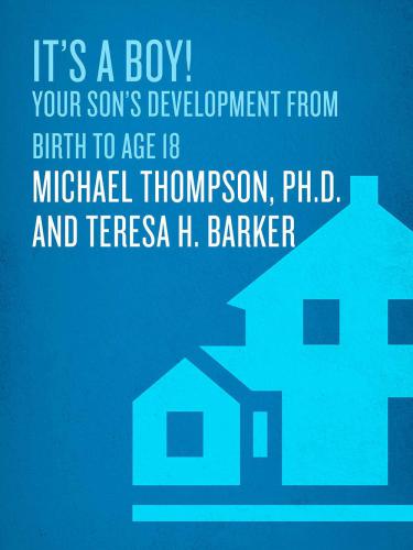 It's a boy!: understanding your son's development from birth to age 18