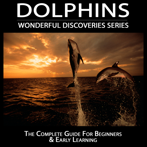 Dolphins: Wonderful Discoveries
