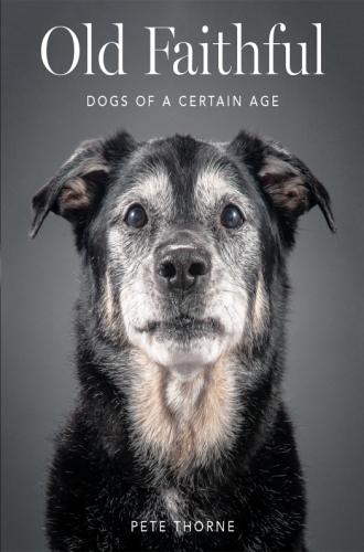 Old faithful: dogs of a certain age
