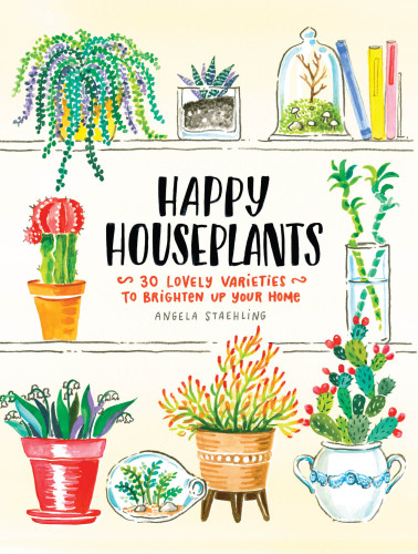 Happy houseplants: 30 lovely varieties to breathen up your home