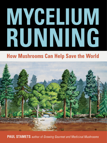 Mycelium running: how mushrooms can help save the world