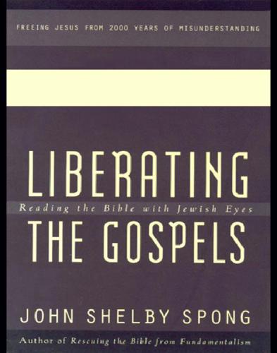 Liberating the gospels: reading the bible with jewish eyes