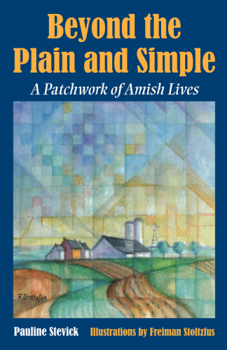 Beyond the plain and simple a patchwork of Amish lives