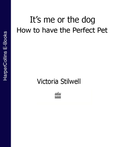 It's me or the dog: how to have the perfect pet