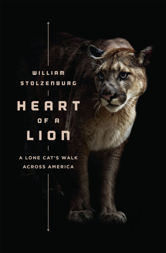 Heart of a lion: a lone cat's walk across America