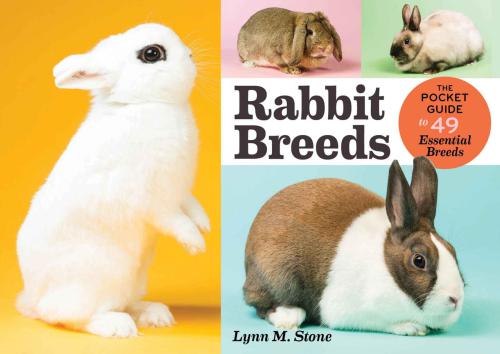 Rabbit Breeds: The Pocket Guide to 49 Essential Breeds