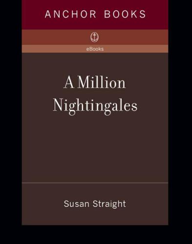A Million Nightingales