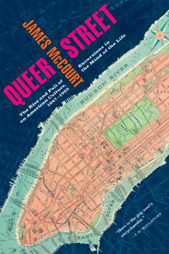Queer street: rise and fall of an American culture, 1947-1985 ; excursions in the mind of the life