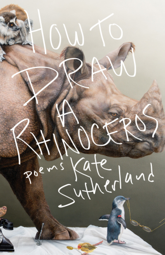 How to draw a rhinoceros: poems