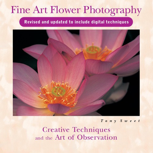 Fine art flower photography: creative techniques and the art of observation