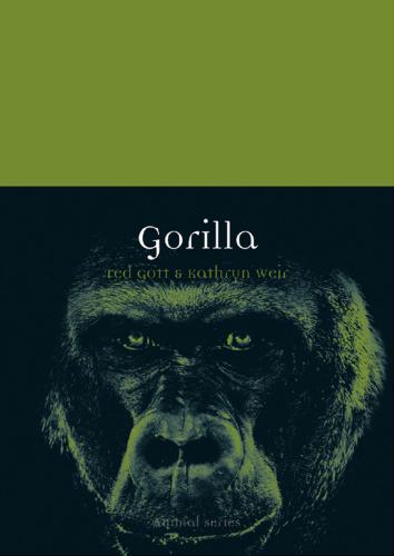 Gorilla (Animal)