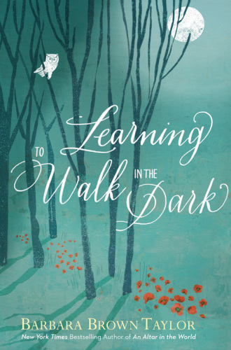 Learning to walk in the dark: because sometimes God shows up at night