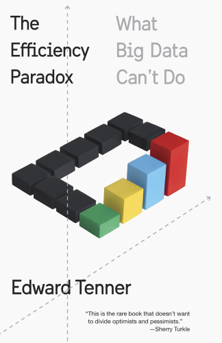 The efficiency paradox: what's big data can't do