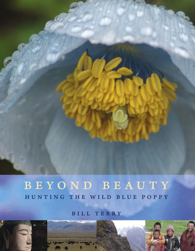 Beyond beauty: hunting the wild blue poppy
