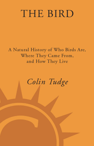 The bird: a natural history of who birds are, where they came from, and how they live