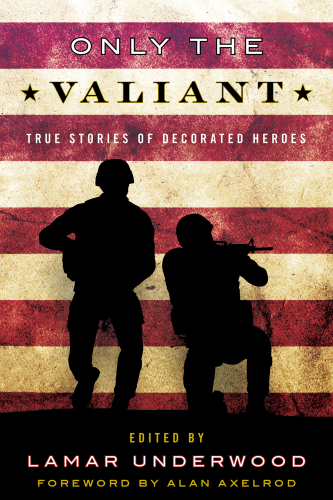 Only the valiant: true stories of decorated heroes