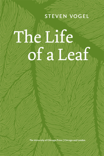 The Life of a Leaf