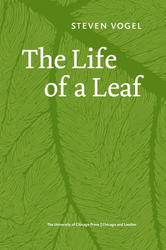 The life of a leaf