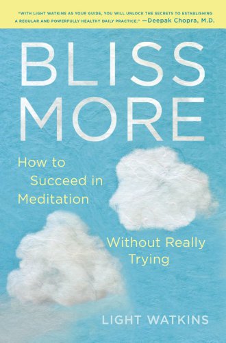 Bliss more: how to succeed in meditation without really trying
