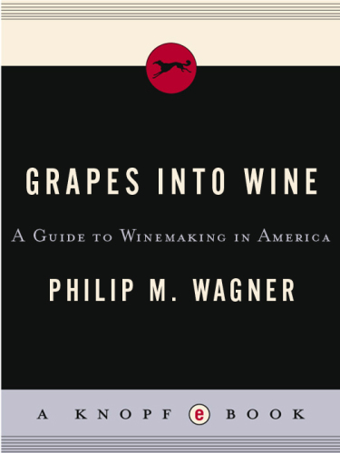 Grapes into wine: a guide to winemaking in America
