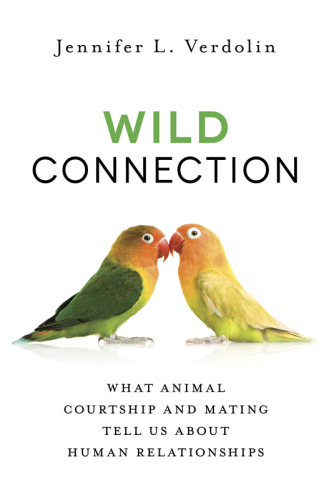 Wild connection: what animal courtship and mating tell us about human relationships