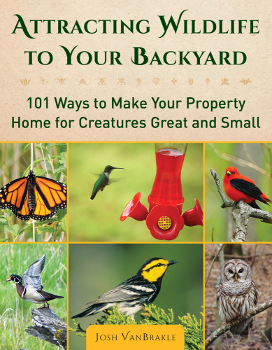 Attracting wildlife to your backyard: 101 ways to make your property home for creatures great and small