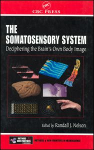 The Somatosensory System: Deciphering the Brain's Own Body Image